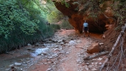 PICTURES/Zion National Park - Yes Again/t_Under Overhang.JPG